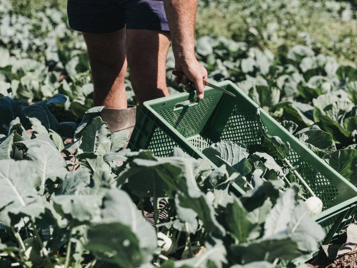 Wie Salzburgs Landwirte den Boden&nbsp;rocken