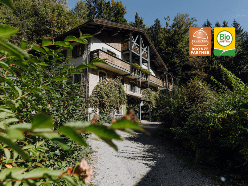 Hotel im Wald&nbsp;Hammerschmiede