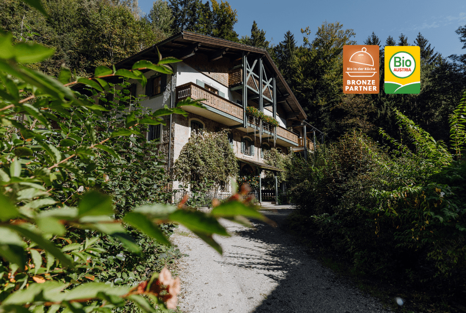 Hotel im Wald&nbsp;Hammerschmiede