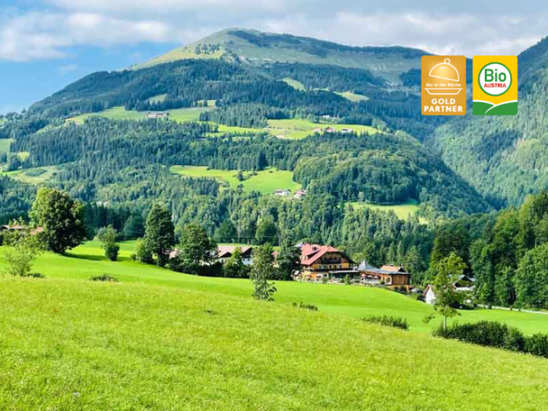 BioVital Hotel Sommerau