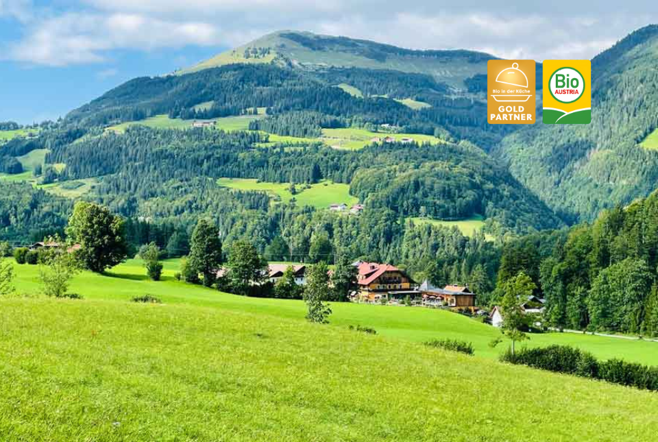 BioVital Hotel Sommerau