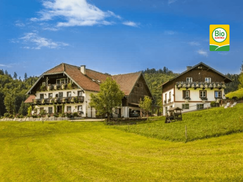 Wohlfühlbauernhof Bambichlhof