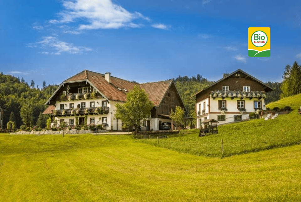 Wohlfühlbauernhof Bambichlhof