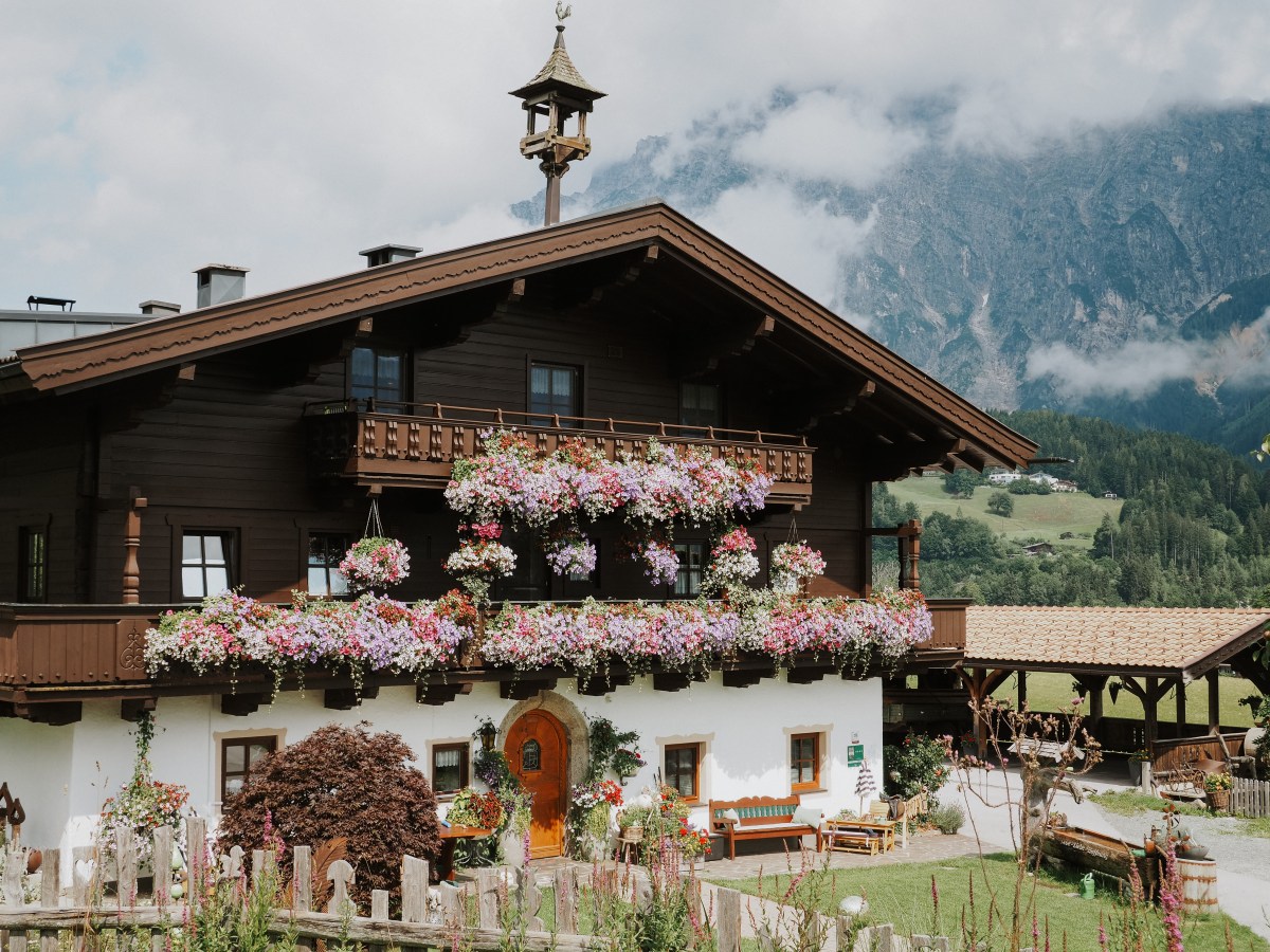 Käse, Kühe, Ausblick
