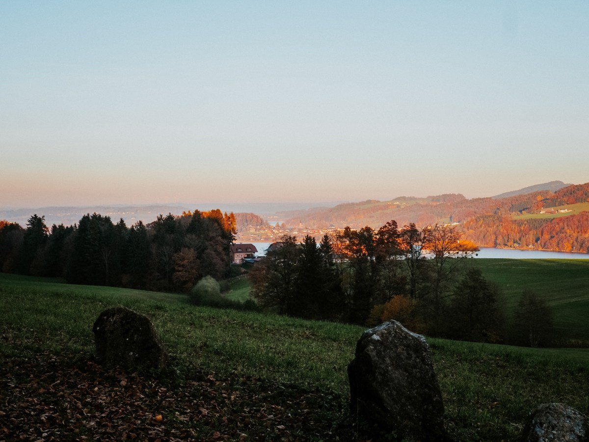Wo BioPionierInnen sich&nbsp;treffen