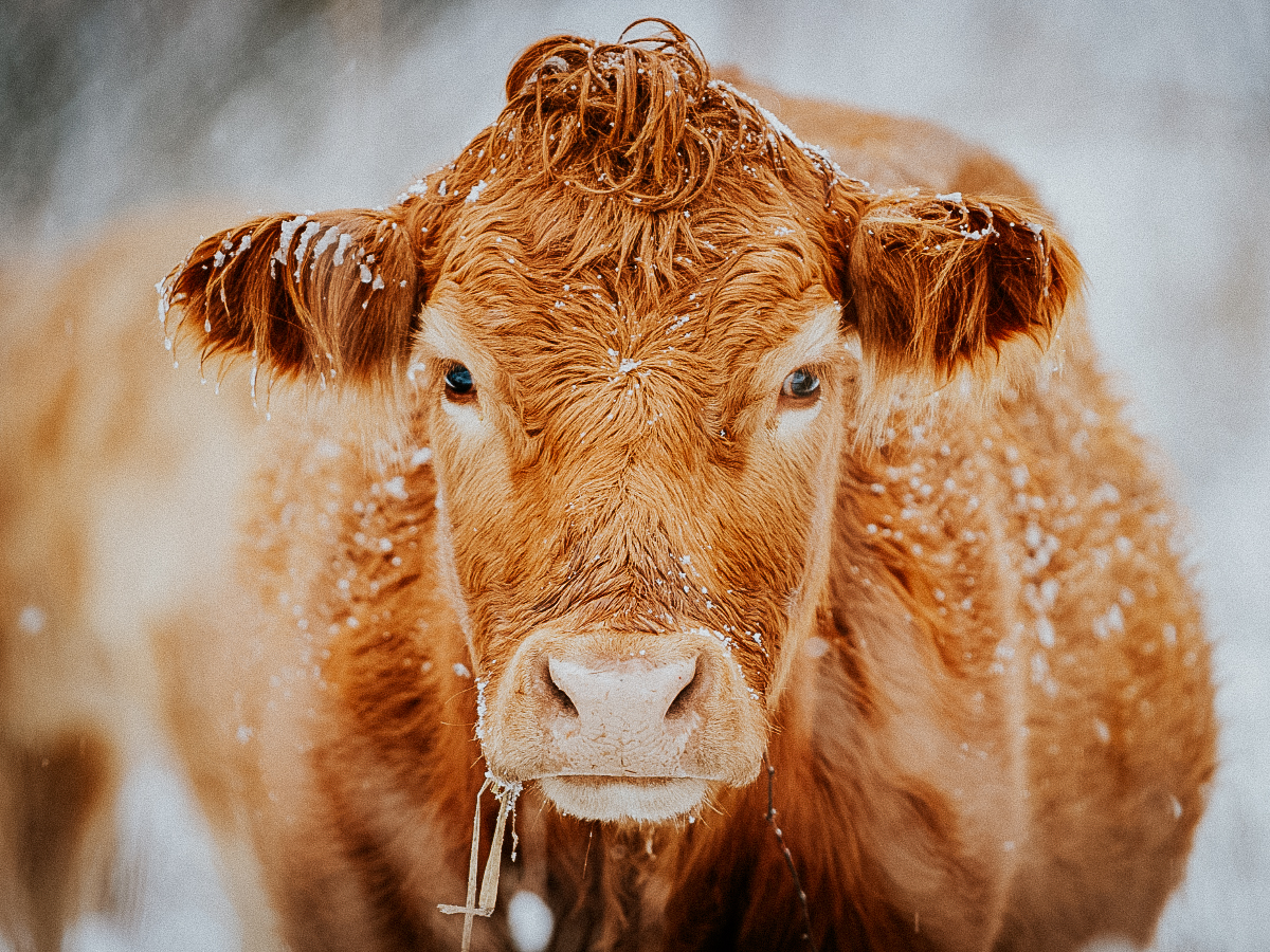 Bio erleben und&nbsp;verstehen